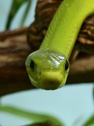 IMG_20240324_095729.jpg