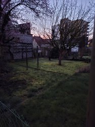 20240325_055621.jpg