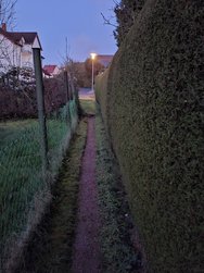 20240325_055604.jpg