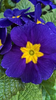 WP_20240309_12_34_37_Rich.jpg