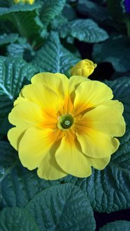 WP_20240309_12_34_27_Rich.jpg