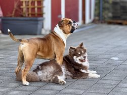 IMG_8415.jpeg