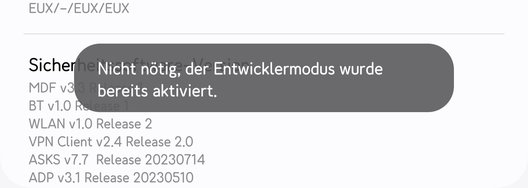 Screenshot_20240325_174355_Settings.jpg