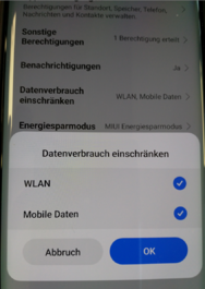 Datenverbrauch Einschränken die Haken entfernt.png
