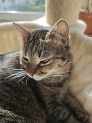 IMG_20240326_155556[1].jpg