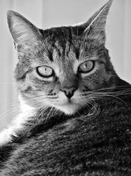 IMG_20240325_164503[1].jpg