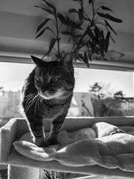 IMG_20240325_164443[1].jpg