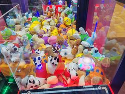 IMG_20240326_102341.jpg