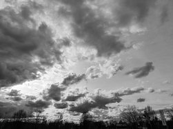 IMG_20240326_181321.jpg