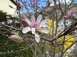IMG_8834.jpeg