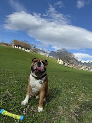 IMG_8844.jpeg