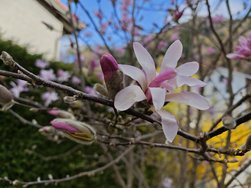 XAI_20240326_155228.jpg