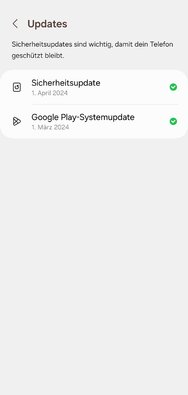 Screenshot_20240326_201806_Settings.jpg