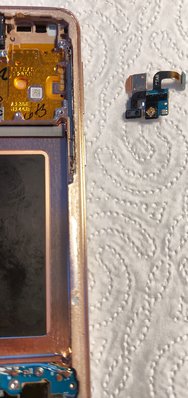Foto_20240326_202858_DRO.jpg
