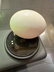 IMG_8862.jpeg