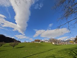 XAI_20240326_161309.jpg