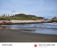 IMG_20240327_094113.jpg
