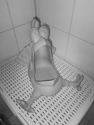 RT8_051.JPG RT8_051.JPG