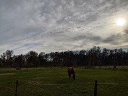 20240327_161138.JPG