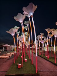 IMG_20240328_184240.jpg