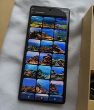 PXL_20240328_135547782.jpg