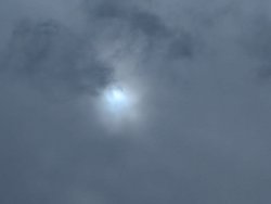 PXL_20240328_152300217.jpg