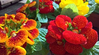WP_20240309_12_43_09_Rich.jpg