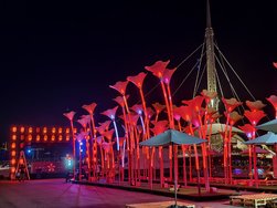 IMG_20240328_184543.jpg