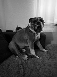 IMG_20240329_064713.jpg