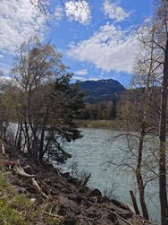 IMG_20240329_114225.jpg