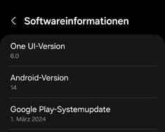 Screenshot_20240329_194318_Settings.jpg