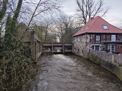 1711733555920.jpg