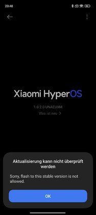 Screenshot_2024-03-29-20-48-26-173_com.android.updater.jpg