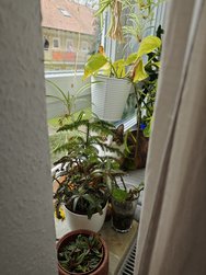 IMG_20240328_120100.jpg