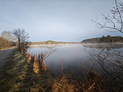 IMG_20240329_063700.jpg