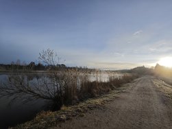 IMG_20240329_063448.jpg