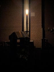 PXL_20240330_232513848.NIGHT.jpg