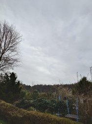20240331_090817.JPG