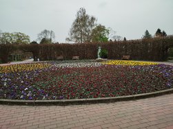 IMG_20240330_124918.jpg