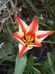 IMG_20240331_133441.jpg
