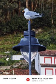 IMG_20240401_201614.jpg