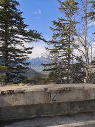 IMG_20240402_170803.jpg