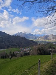 IMG_20240402_160459.jpg