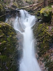 IMG_20240402_155700.jpg