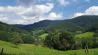 20170802_140233.jpg