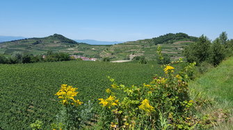 20170807_132814.jpg