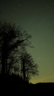 PXL_20240402_201140777.NIGHT.RAW-01.COVER.jpg PXL_20240402_201140777.NIGHT.RAW-01.COVER.jpg