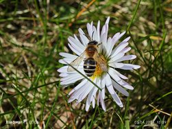 IMG_20240403_133924.jpg