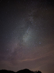 PXL_20231216_174708818.NIGHT.RAW-02.ORIGINAL (3).jpg