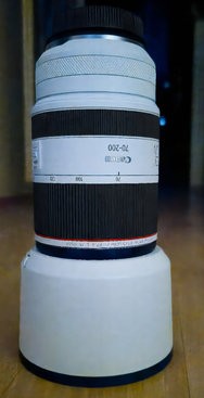 PS_20240403_163441-topaz-enhance-2x-denoiseraw-sharpen-textai_c493.jpg